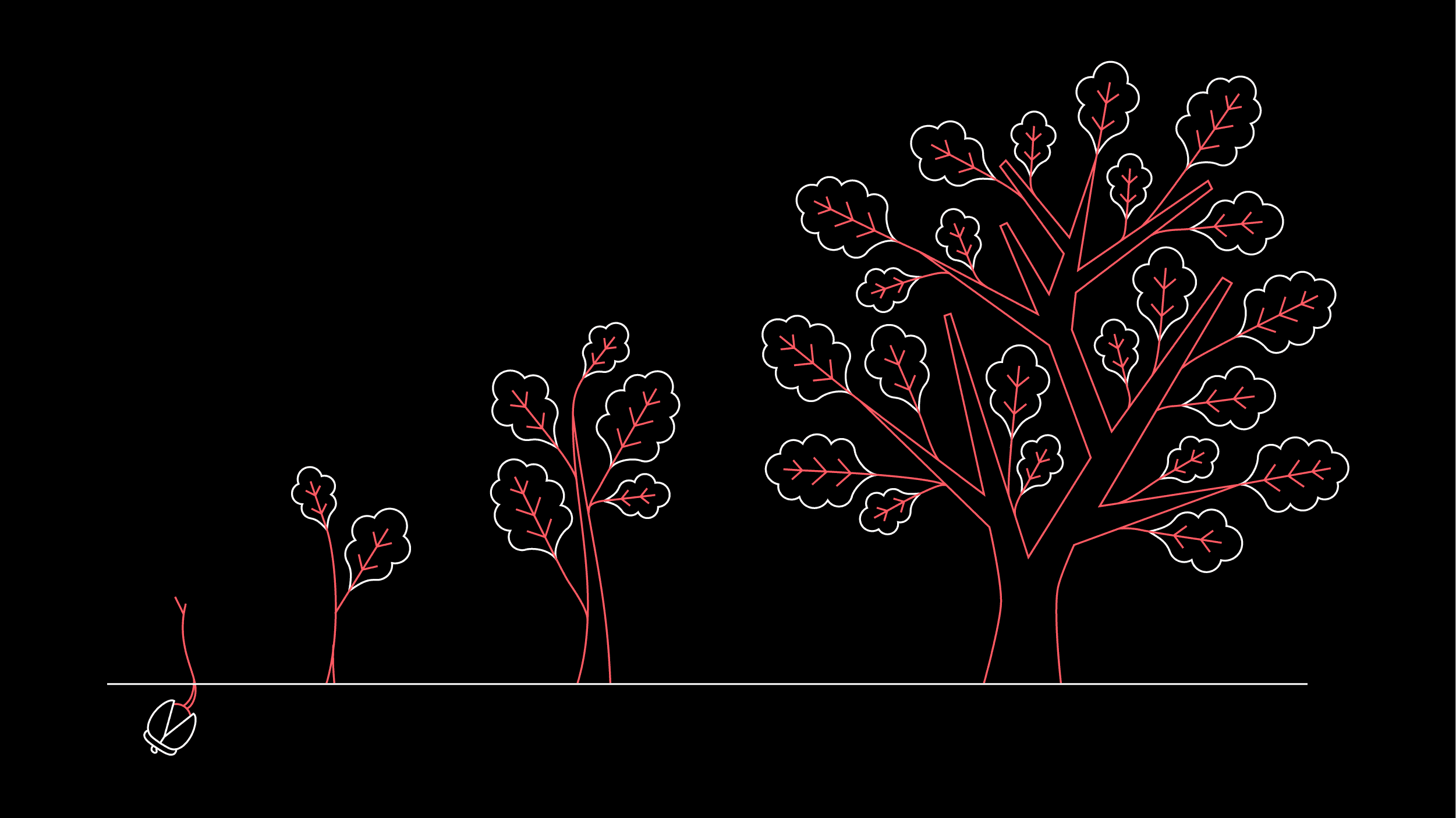 Growth of a tree into a plant